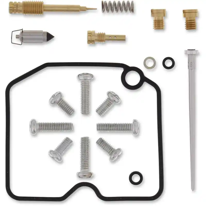 Kit de Réparation Carburateur ARCTIC CAT Usine Directe