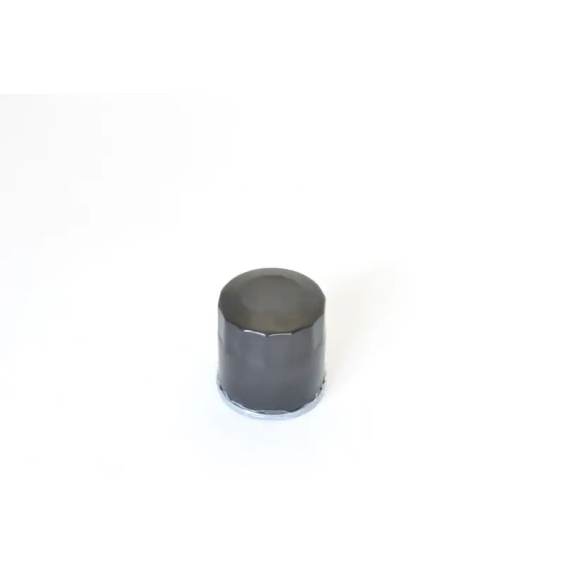 OIL FILTER POLARIS Acheter En Ligne