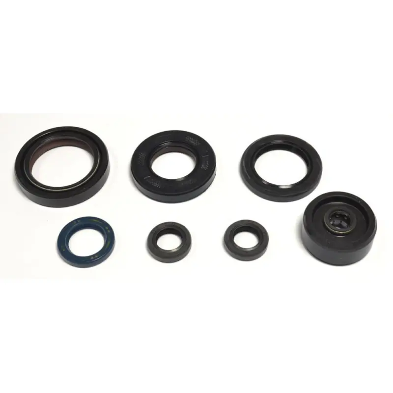 ENGINE OIL SEALS KIT Acheter Direct