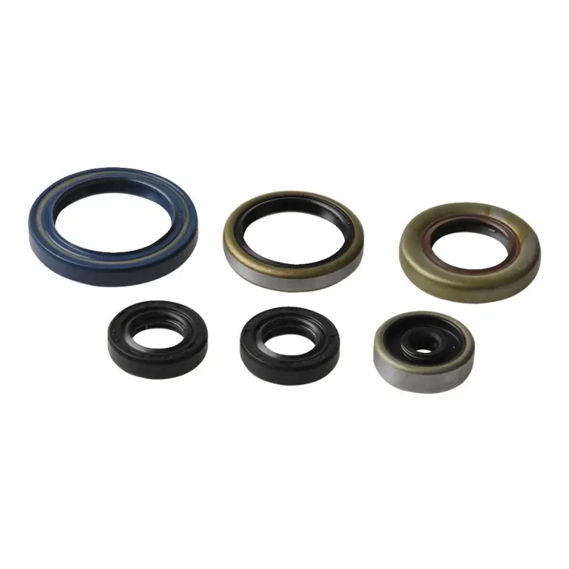 ENGINE OIL SEALS KIT Jusqu&rsquo;à Épuisement Des Stocks