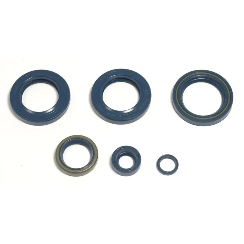 ENGINE OIL SEALS KIT Prix Choc